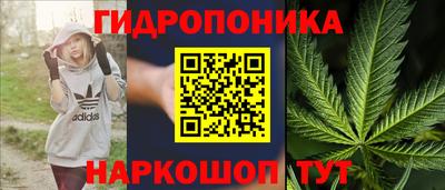 ГАЛЛЮЦИНОГЕННЫЕ ГРИБЫ Ярцево