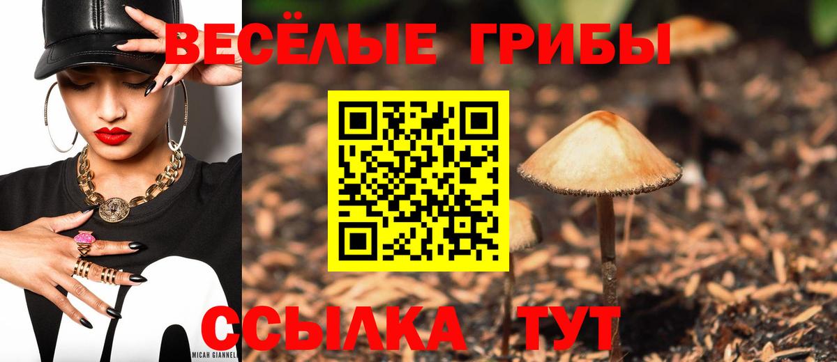 Жигулёвск  Галлюциногенные грибы мухоморы  Вход с VPN  Галлюциногенные грибы GOLDEN TEACHER 